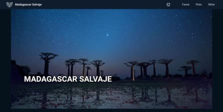 Madagascar Salvaje